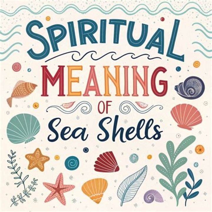 What is the meaning of sea weeds?