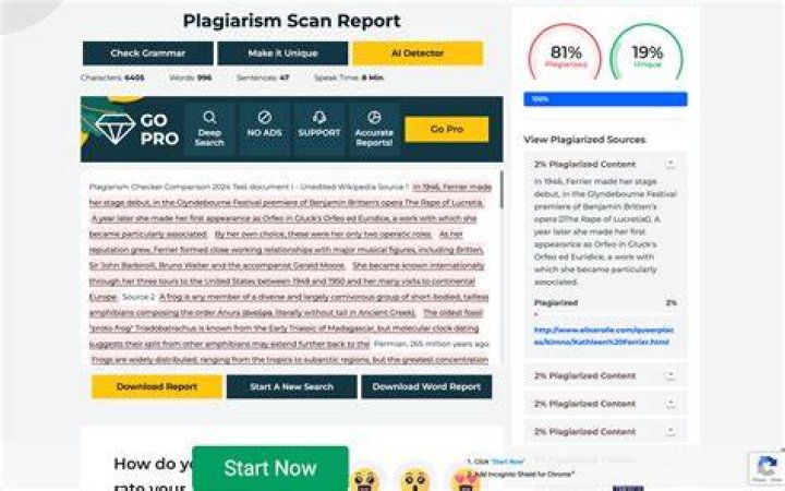 What is the online plagiarism checker and how does it work?