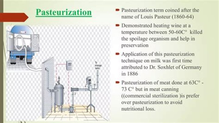 What is the pasteurization process?