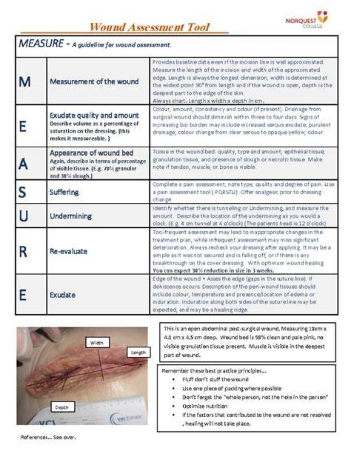 What is the photographic wound assessment tool?