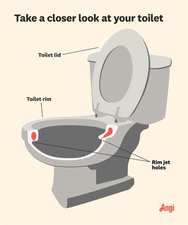 What is the rug around a toilet called?