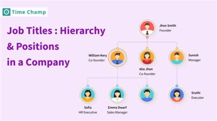 What is the title of the chief executive?