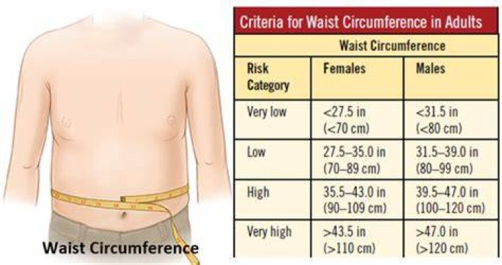 What is the waist circumference for obesity?