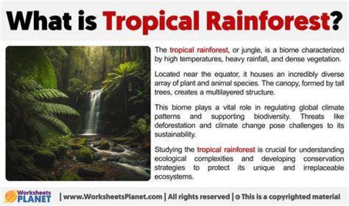 What is tropical rainforest in short?