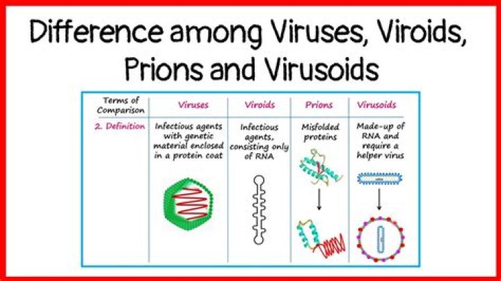 What is Virusoid example?