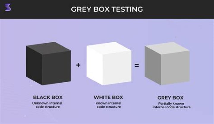 What is white-box and GREY box testing?