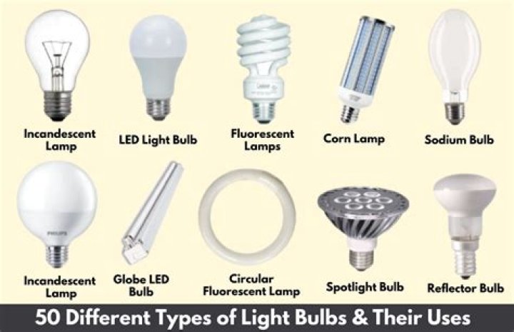 What kind of light bulbs do photographers use?