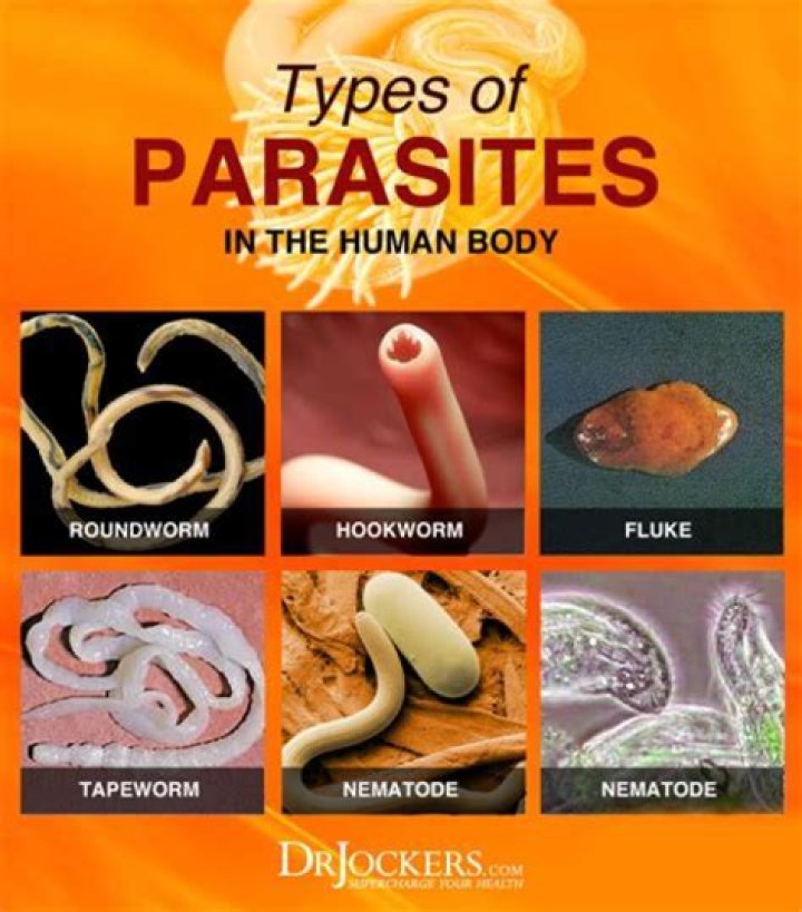 What kind of parasite comes out of your skin?