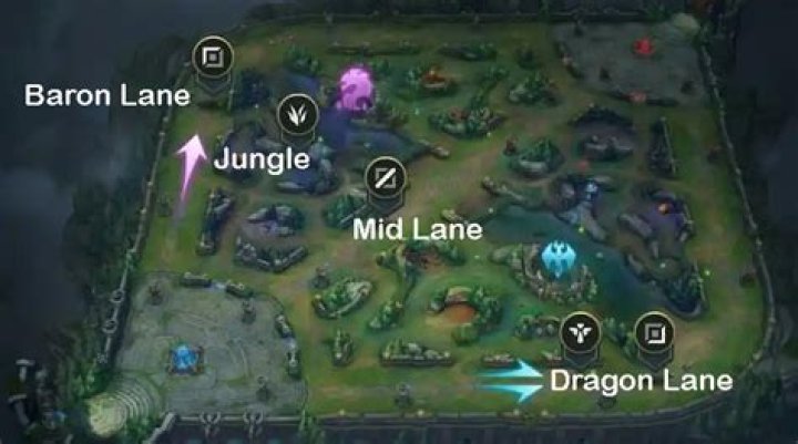 What Lane is Gnar?