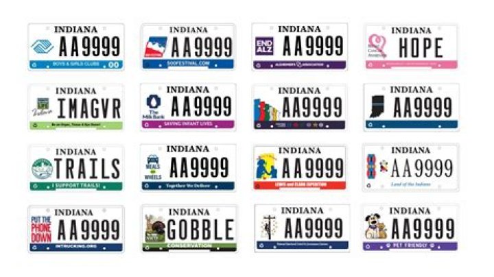 What percentage of Indiana is black?