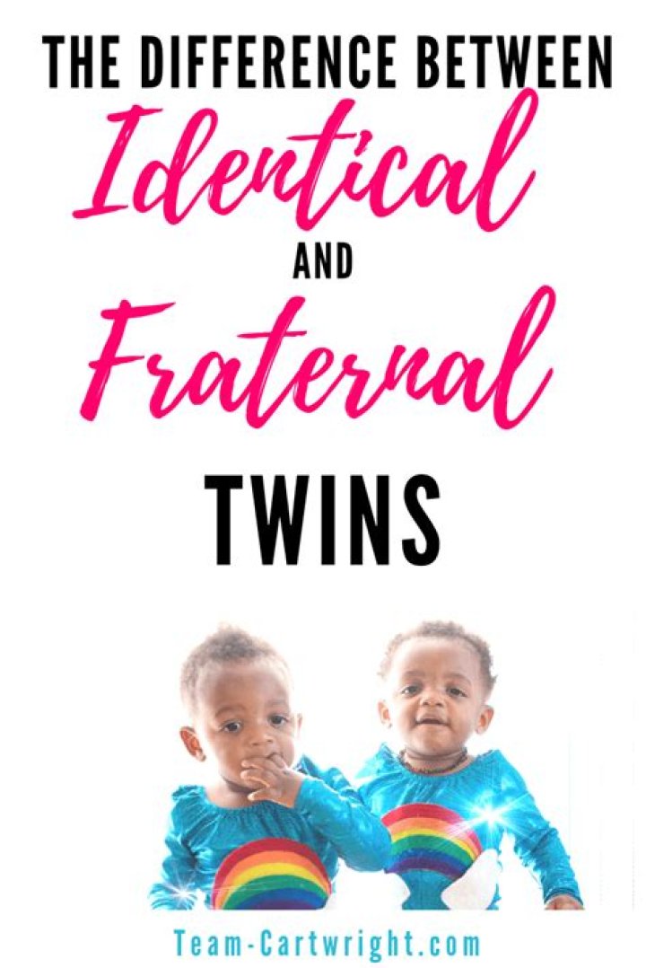 What percentage of twins are identical VS fraternal?