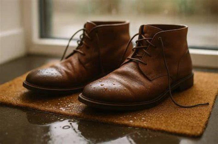 What should I do if my leather shoes get wet?