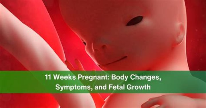 What should my stomach feel like at 11 weeks pregnant?