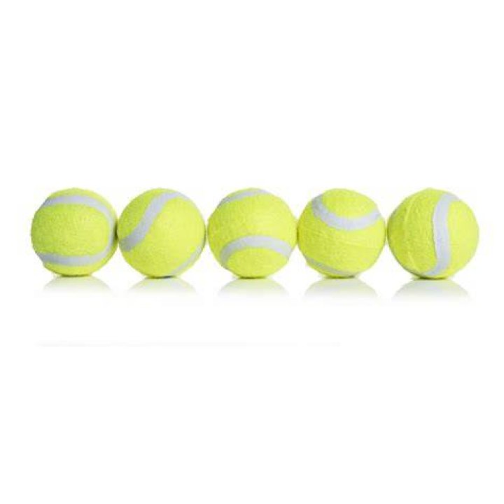 What size are mini tennis balls?
