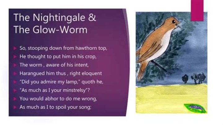 What songs does the glow worm play?