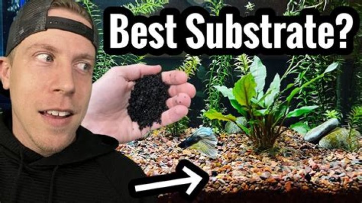 What substrate for low tech planted tank?