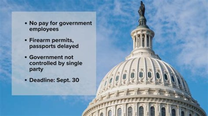 What type of government does Colorado Springs have?