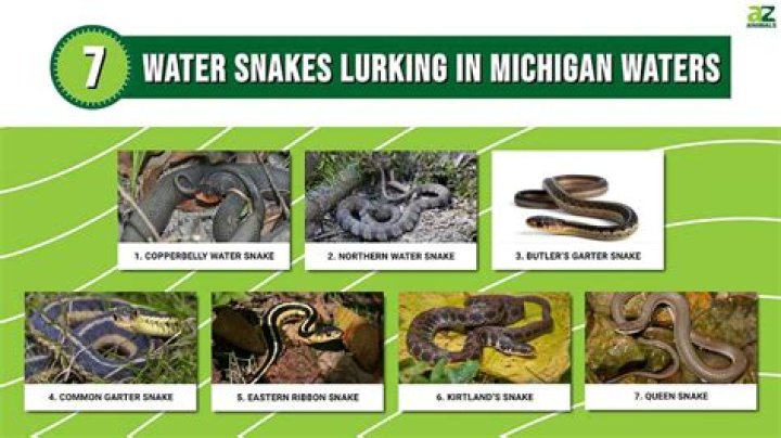 What type of water snakes are in Indiana?
