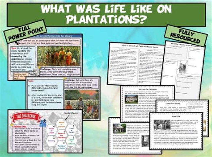 What was life like on plantations?