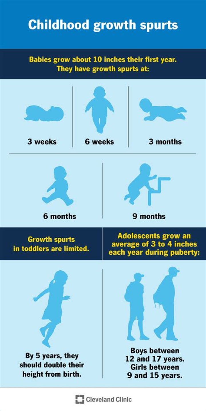 What weeks do fetuses have growth spurts?