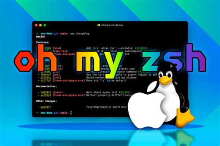 What ZSH plugins should I use?