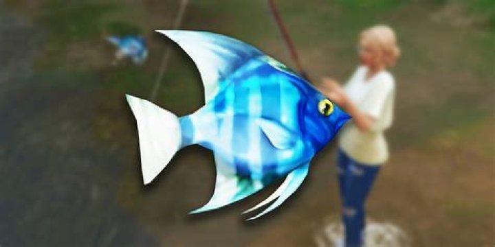 Where can I fish from shore in Key Largo?