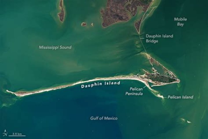 Where can I fish on Dauphin Island?