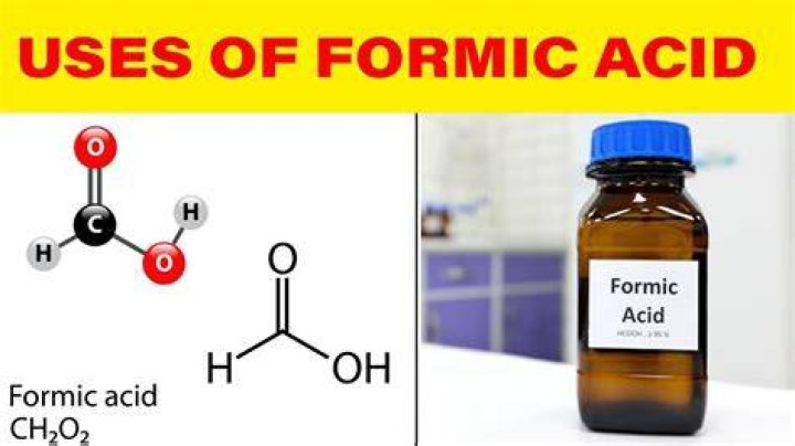 Where does formic acid occur naturally why what purpose does it serve?