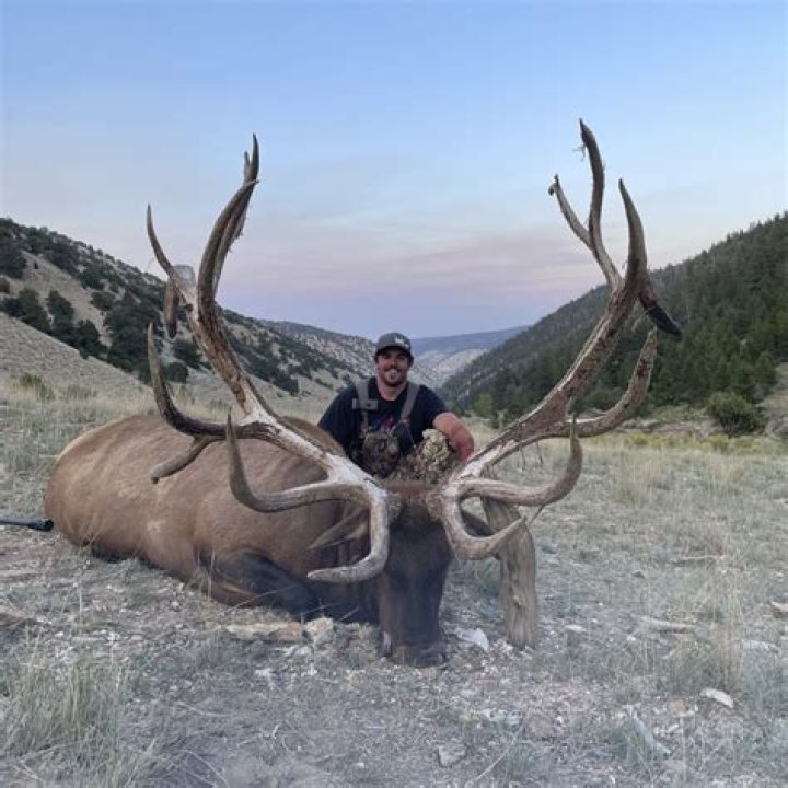 Where is the best elk hunting in Utah?