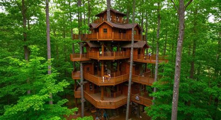 Where is the biggest treehouse in the United States?