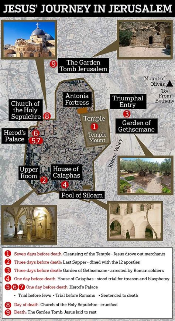 Where is the E site found?