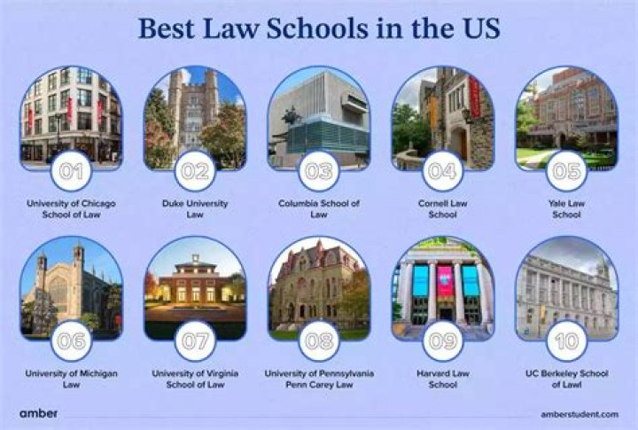 Which NYU school is best for law?