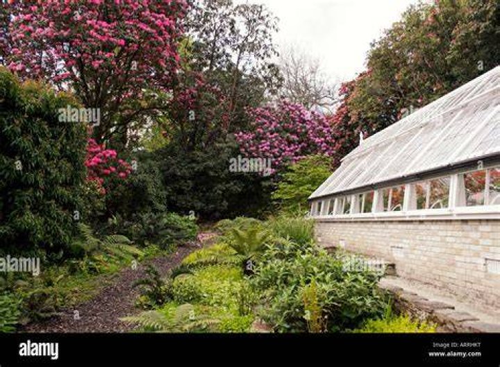 Who owns Heligan House?