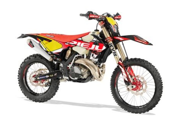 Who owns Rieju motorcycle?
