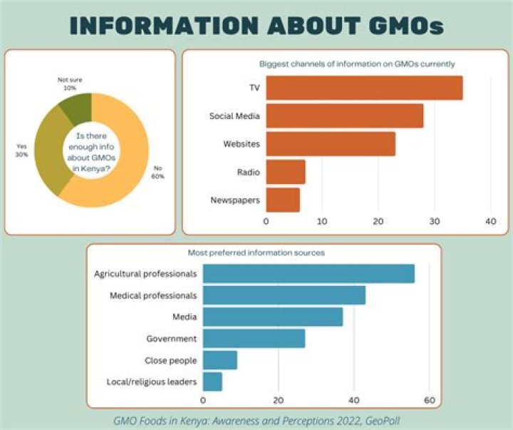 Who regulates GMOs in the United States?