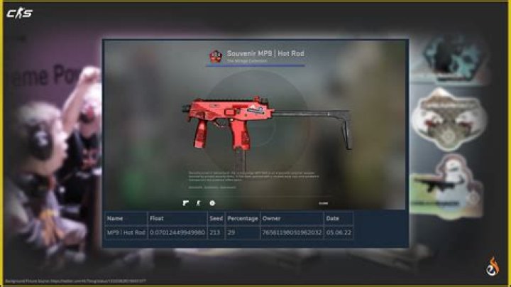 Who won Dreamhack 2013 CSGO?