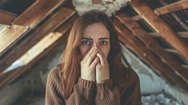 Why does my house smell musty after vacation?
