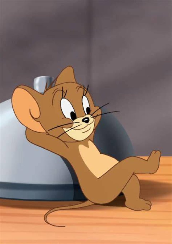 Why is a mouse called Jerry?