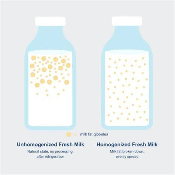 Why is milk Unhomogenized?