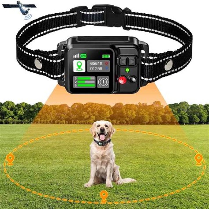 Why is my wireless dog collar not working?