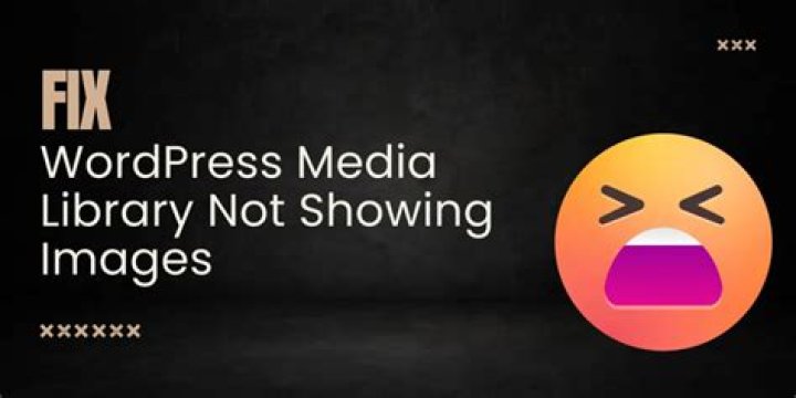 Why is my WordPress media library not working?