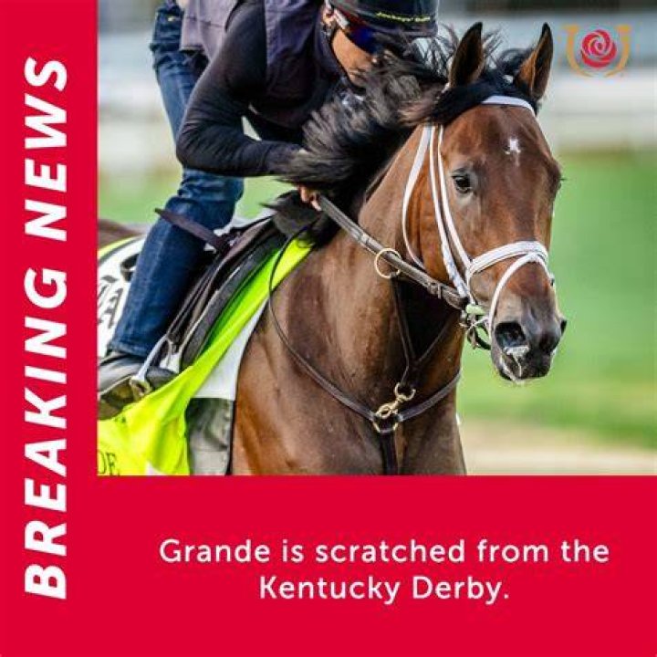 Why was horse scratched from the Kentucky Derby?