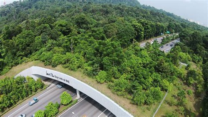 Why was the ECO link at BKE built?