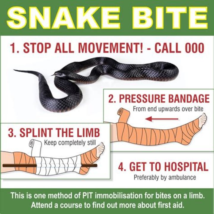 Will Kevlar fabric stop a snake bite?