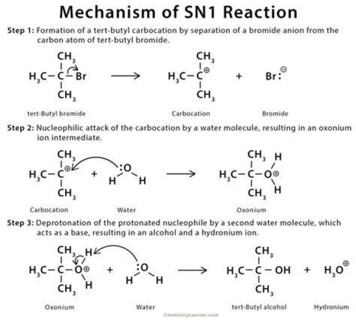 Would 1-bromobutane undergo sn1 or SN2?